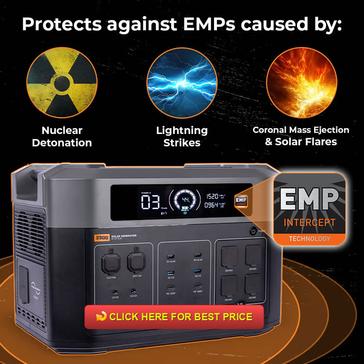 Grid Doctor 3300 + EMP Intercept Review: The EMP-Hardened Solar Generator System You Need